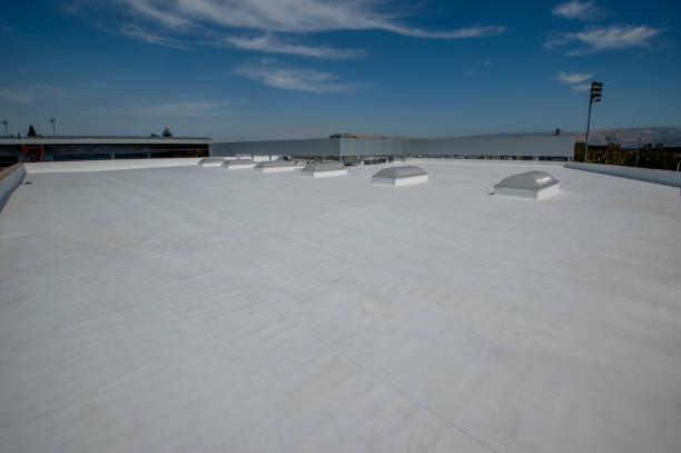 Best 4 Ply Roofing  in Montverde, FL