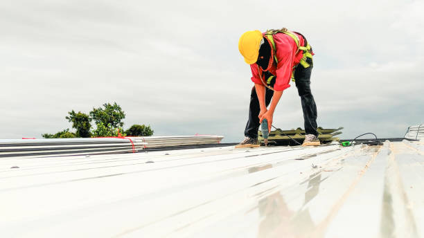 Best Roof Moss and Algae Removal  in Montverde, FL