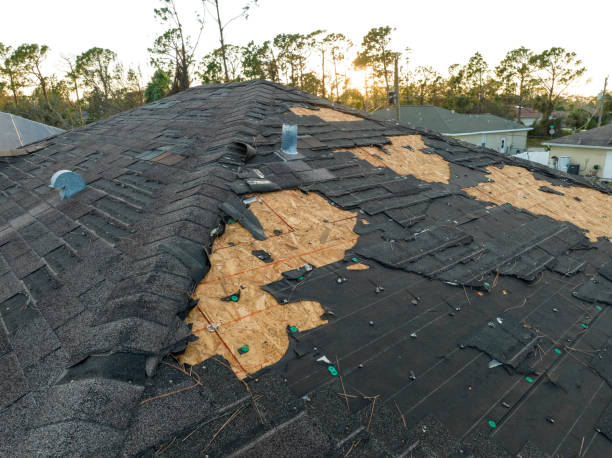 Best Tile Roofing Installation  in Montverde, FL