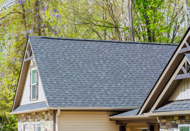 Best Green or Eco-Friendly Roofing Solutions  in Montverde, FL