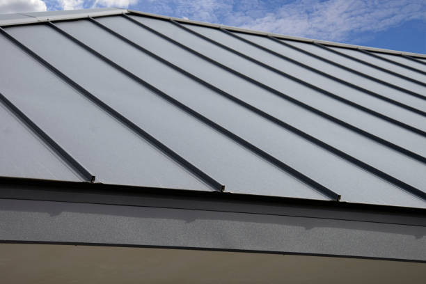 Best Gutter Installation and Repair  in Montverde, FL